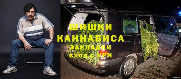 дмт Богородск