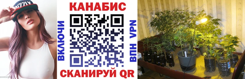 Купить где  Строитель  Марихуана OG Kush 